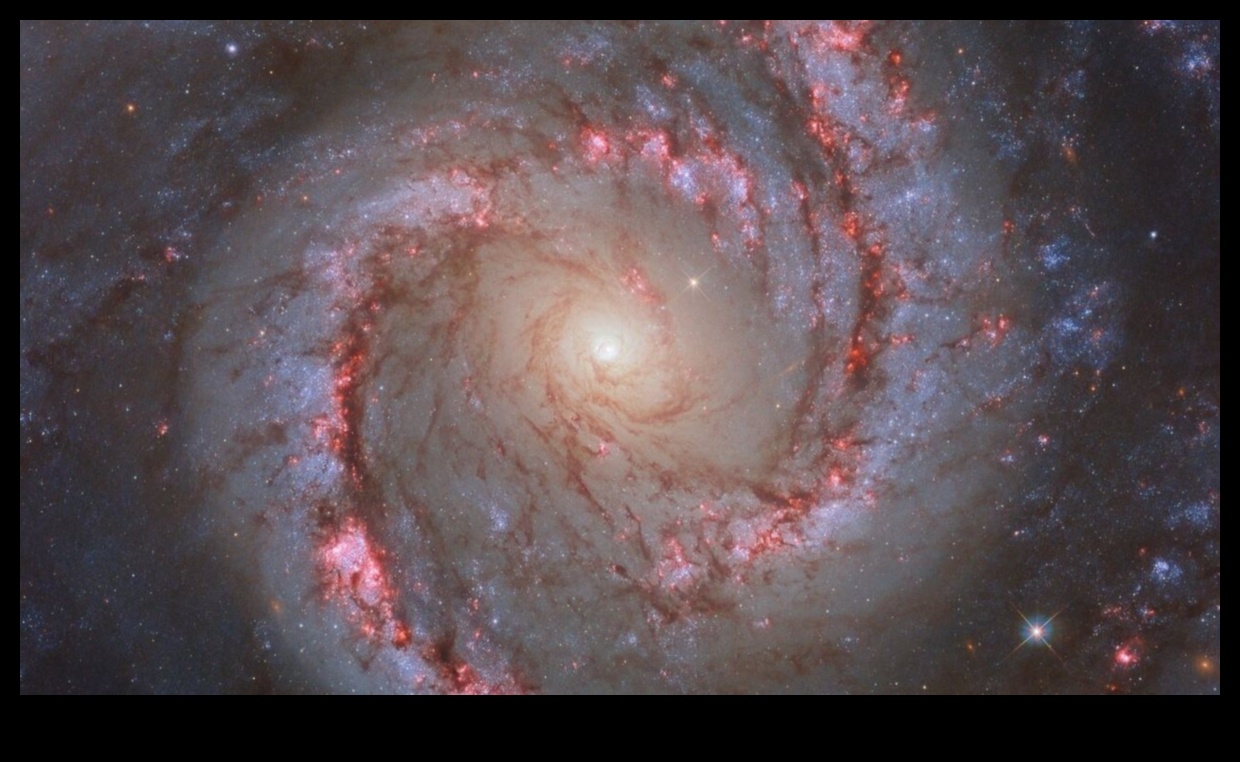 הבלט השמיימי של נאס הבלט השמיימי של נאס