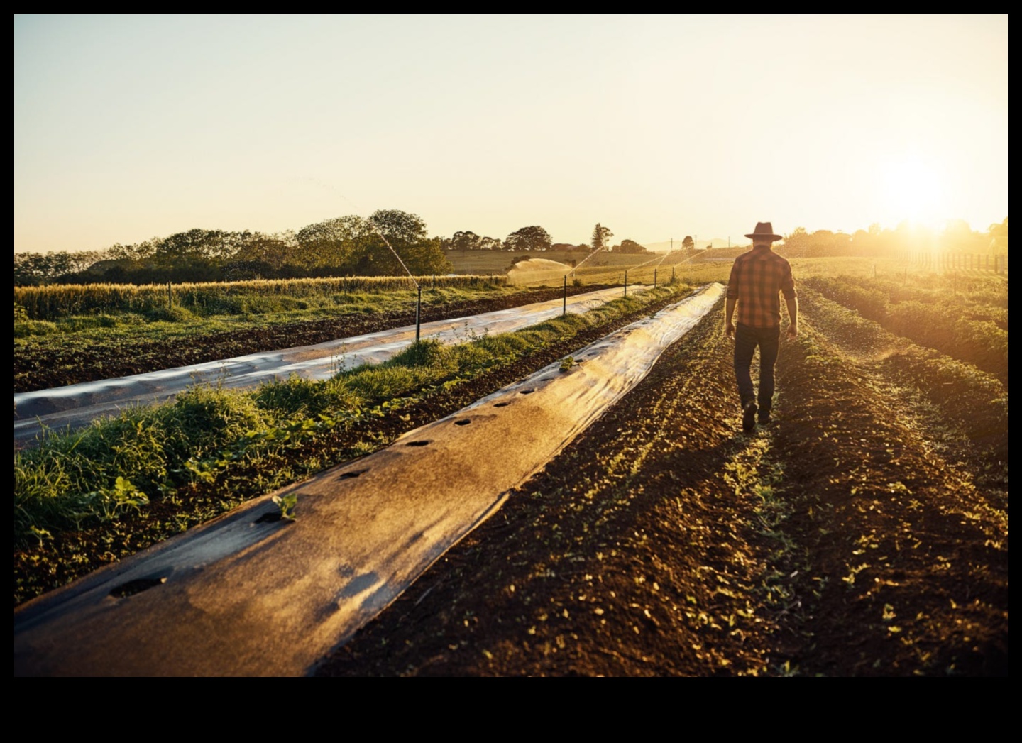 העונות המשתנות של החקלאות 2 כיצד משתנים נופים חקלאיים לאורך עונות השנה?