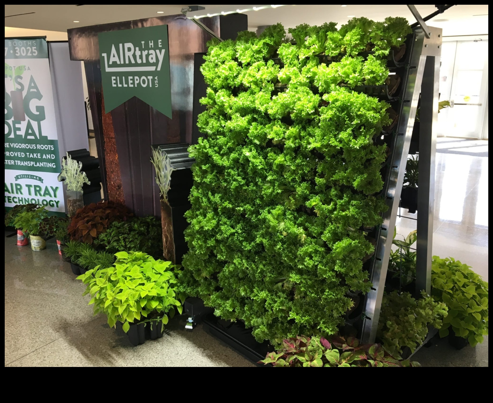 טיפוס לגן עדן שליטה אנכית בגינון נחשף איך לגדל גינה משלך באוויר 5 טיפוס לגן עדן: שליטה בגינון אנכי נחשף