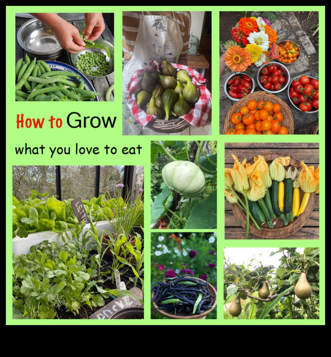 סדנת גן כרוניקה קרקע פורייה לחדשנות 5 דברי הימים של סדנת הגן: איפה הרעיונות פורחים