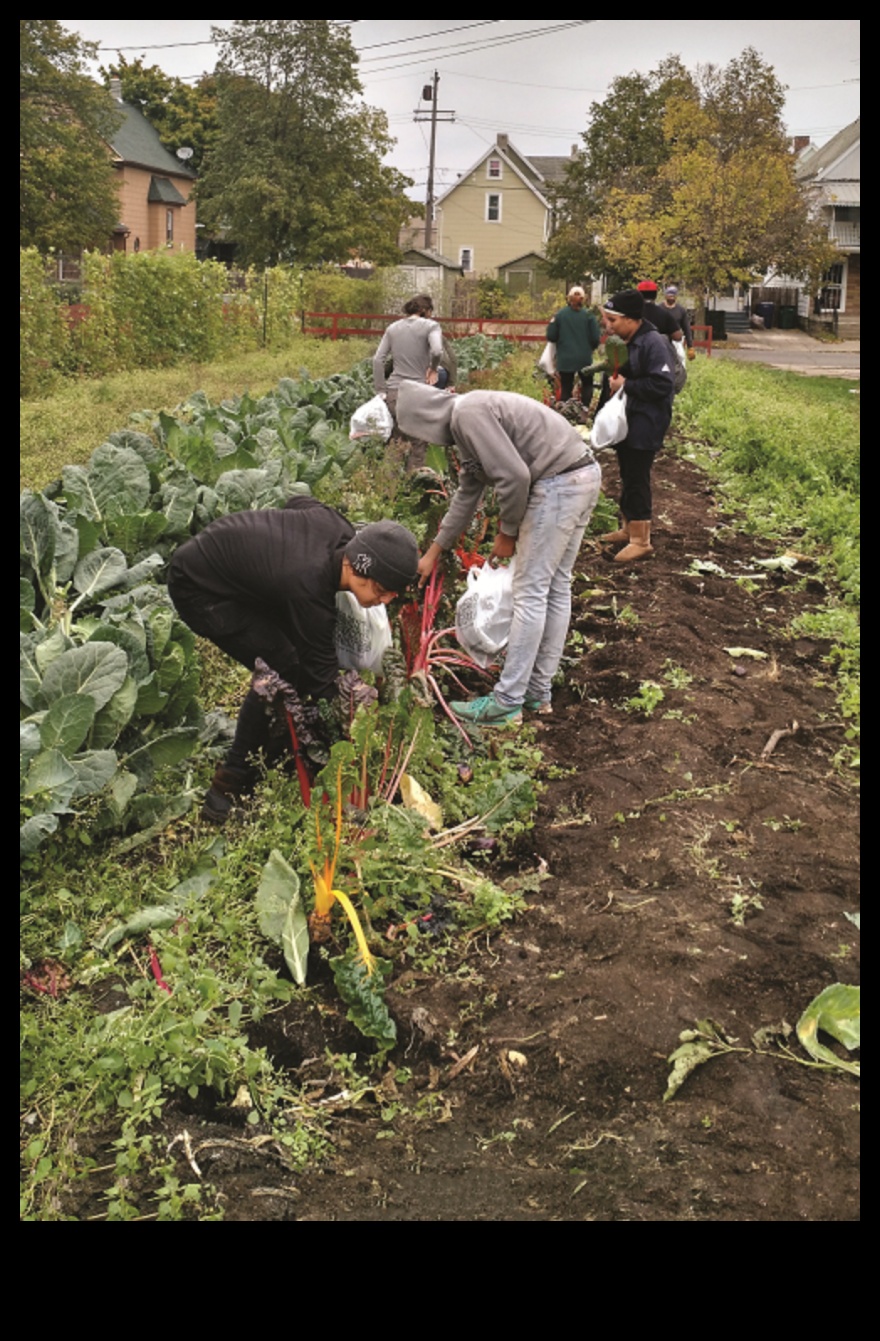 סדנת גן כרוניקה קרקע פורייה לחדשנות 4 דברי הימים של סדנת הגן: איפה הרעיונות פורחים