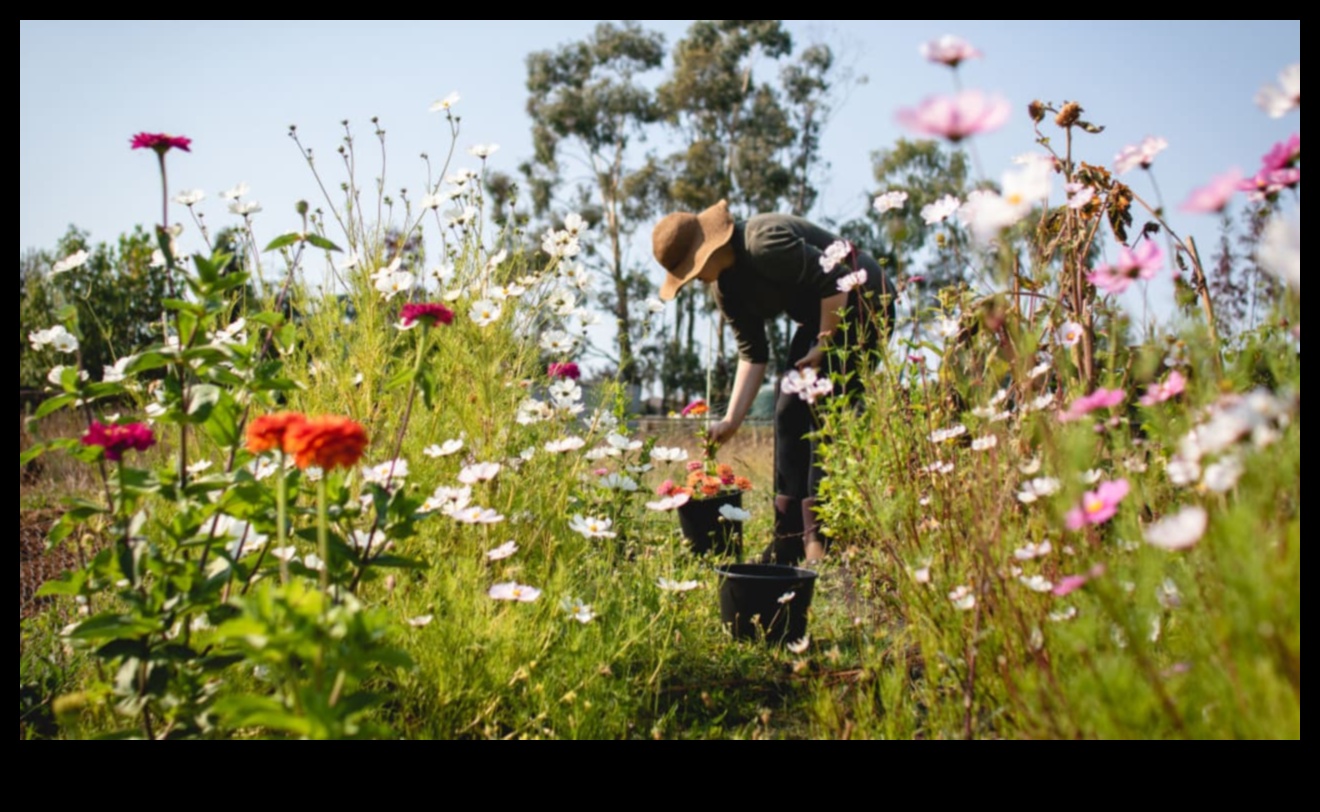 סדנת גן כרוניקה קרקע פורייה לחדשנות 3 דברי הימים של סדנת הגן: איפה הרעיונות פורחים