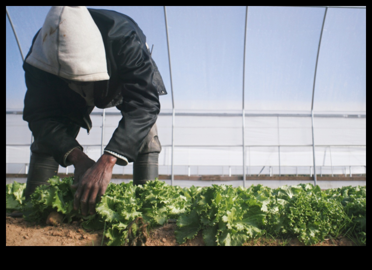 סדנת גן כרוניקה קרקע פורייה לחדשנות 2 דברי הימים של סדנת הגן: איפה הרעיונות פורחים