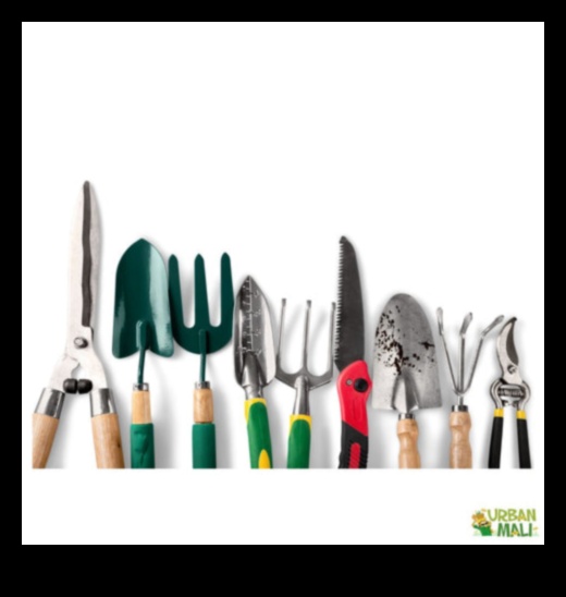 טיפוח הטבע 7 כלי גינה חובה לכל רמה של גנן 2 טיפוח הטבע: נחשפו כלי גינה חובה