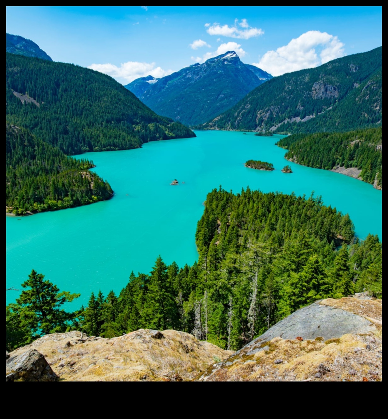 הגנים הלאומיים שומרי העולם הטבעי 5 איזה תפקיד ממלאים הגנים הלאומיים בשימור נופי הטבע?