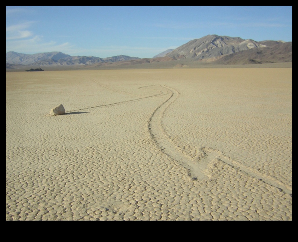 מדבריות עולם משלהם 5 מדוע נופי מדבר נחשבים קשים אך יפים?