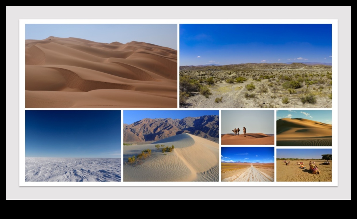 מדבריות עולם משלהם 2 מדוע נופי מדבר נחשבים קשים אך יפים?