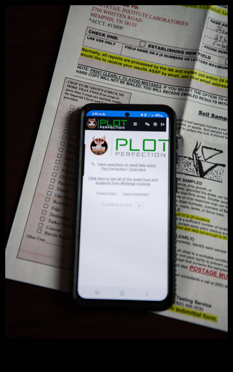 שלמות העלילה מדריך אסטרטגי לתכנון גינות מוצלח 4 שלמות העלילה: שלבים אסטרטגיים לתכנון גינות מוצלח