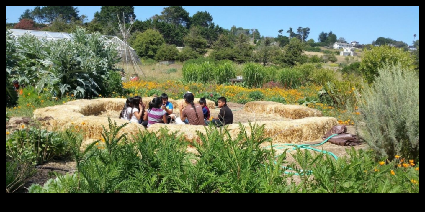 מוחות בוטניים טיפוח אהבת הטבע באמצעות חינוך לגן 2 מוחות בוטניים: פריחה עם חינוך לגן