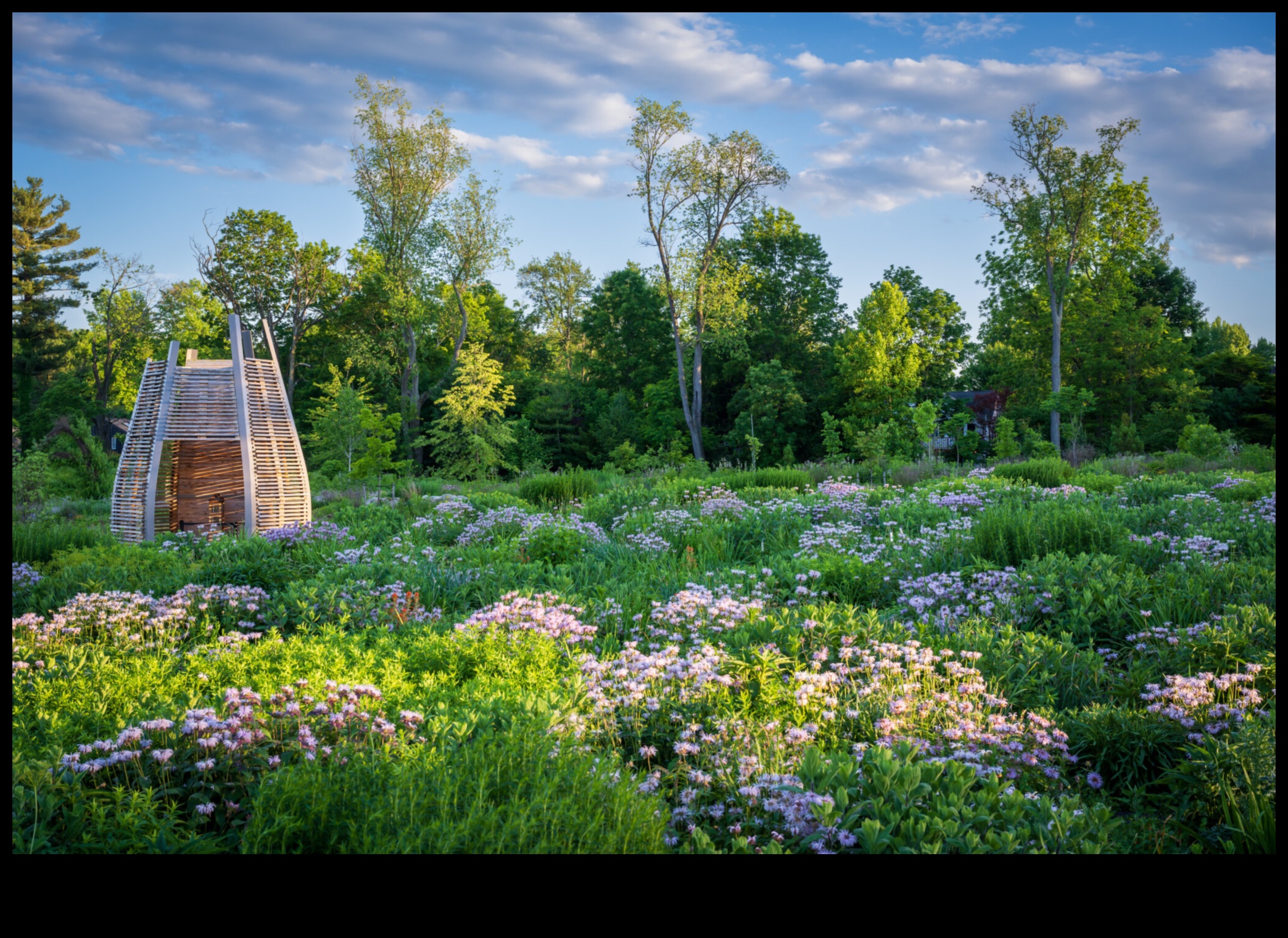 מוחות בוטניים טיפוח אהבת הטבע באמצעות חינוך לגן 3 מוחות בוטניים: פריחה עם חינוך לגן