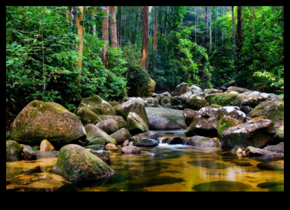 שלווה בנוף 2 לגלות את עדן: אוסף של נופים שופעים ושלווים בכל פריים