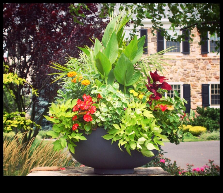 Budding Beauty: האמנות והמדע של גינון מיכל