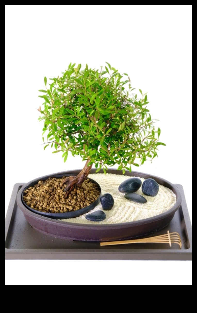 Garden Harmony הרם את המרחב שלך עם ציוד חיצוני פרימיום 1 הרמוניה בגינה: הרם את המרחב שלך עם ציוד פרימיום