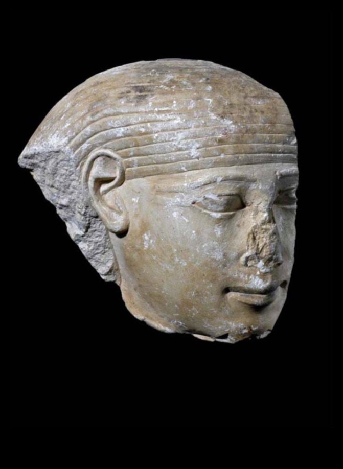 אבן פיסול האבולוציה של פסלים פרהיסטוריים מהצלמיות המוקדמות ביותר ליצירות המונומנטליות של מצרים העתיקה 1 אבן פיסול: האבולוציה של פסל פרהיסטורי