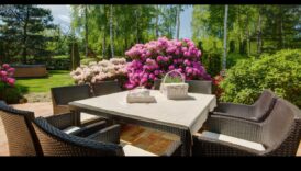 אואזיס שיקי בכיוון הלא נכון את הגינה האינדיבידואלי שלך למקום מפלט שליו 6 אואזיס אלגנטי: שינויים בעיצוב הגינה מחכים