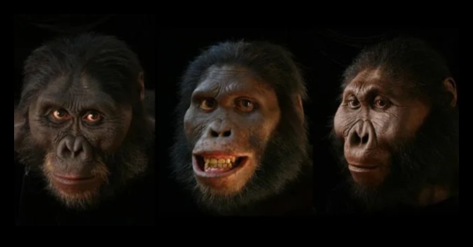 דיוקנאות פרימיטיביים חושפים את פני אבותינו הפרהיסטוריים 1 דיוקנאות פרימיטיביים: פנים בצלמיות פרהיסטוריות