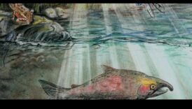 הזירה הנסתר של המגוון המגוון הביולוגי הימי 3 כיצד תורמים גופי מים שונים למגוון הביולוגי המימי של נופים?