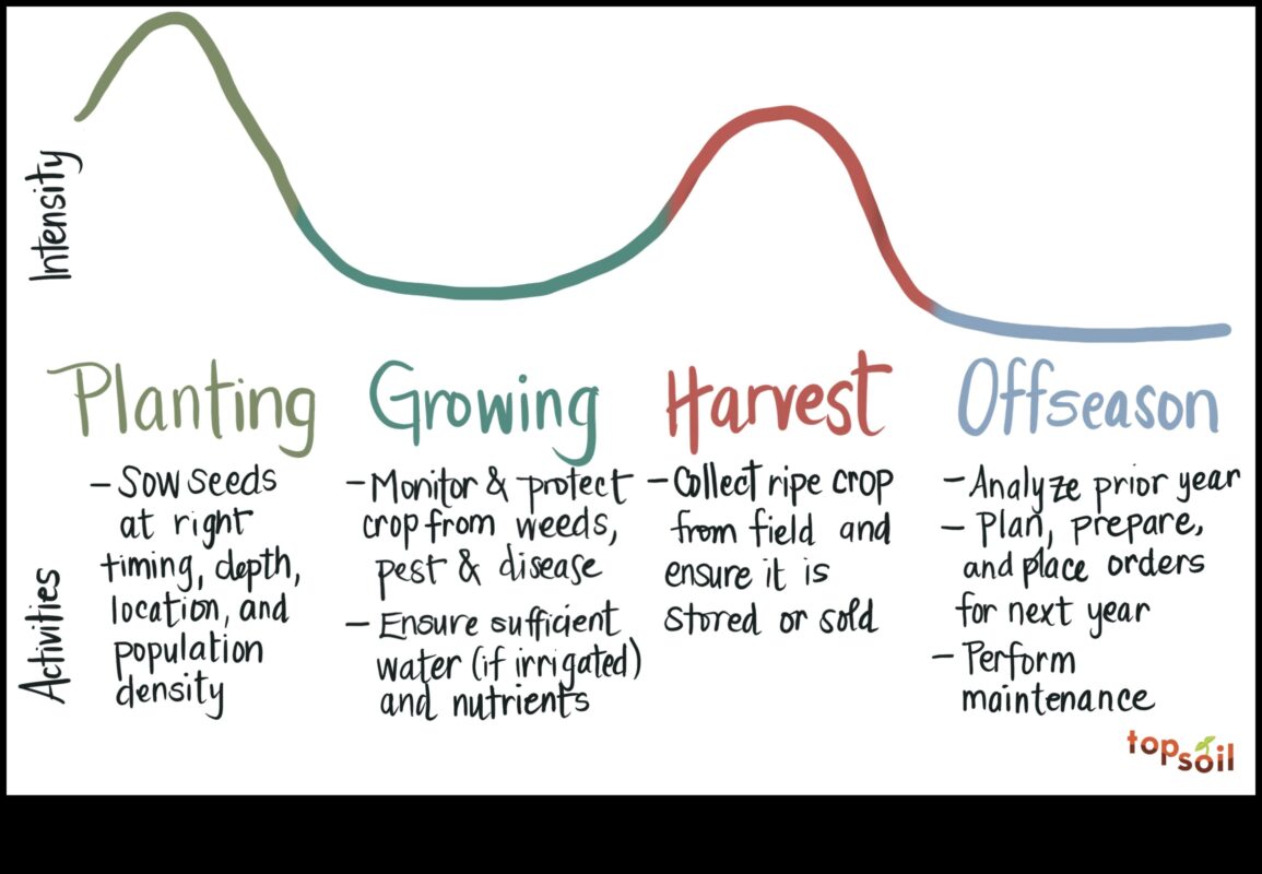כיצד משתנים נופים חקלאיים לאורך עונות השנה?