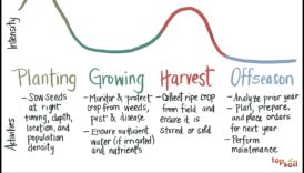 כיצד משתנים נופים חקלאיים לאורך עונות השנה?