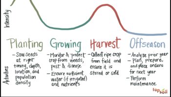 כיצד משתנים נופים חקלאיים לאורך עונות השנה?