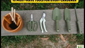 טיפוח הטבע 7 מכשיר מדשאה תנאים מוקדמים לכל תואר של גנן 6 טיפוח הטבע: נחשפו כלי גינה חובה