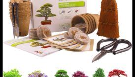 טיפוח מנגנון מדשאה סופריור של Joy לכל פנאט 3 טיפוח שמחה: ציוד גן מעולה לכל חובב