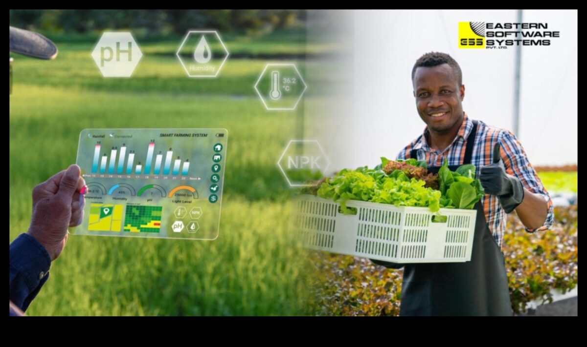 טיפוח שגשוג: כוחה של צמיחה עסקית אסטרטגית