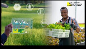 טיפוח שגשוג: כוחה של צמיחה עסקית אסטרטגית