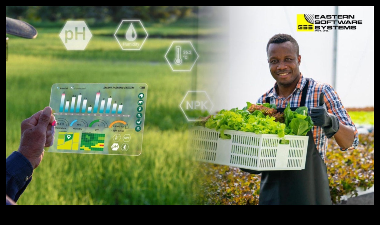 טיפוח שגשוג כיצד צמיחה עסקית אסטרטגית יכולה לעזור לך לפרוח 1 טיפוח שגשוג: כוחה של צמיחה עסקית אסטרטגית