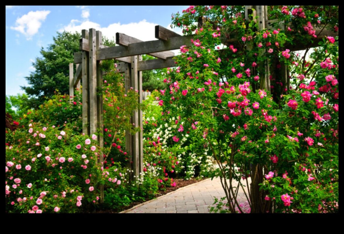 טיפוס לגן עדן: שליטה בגינון אנכי נחשף