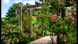 אופנה לגן עדן ניהול אנכית בגינון הודפס איך לגדל מדשאה משלך באוויר 2 טיפוס לגן עדן: שליטה בגינון אנכי נחשף