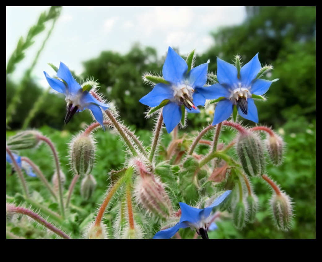 ידידות פרחונית אמנות נטיעת מלווה 3 ידידות פרחונית: היופי של נטיעת מלווה מומחה