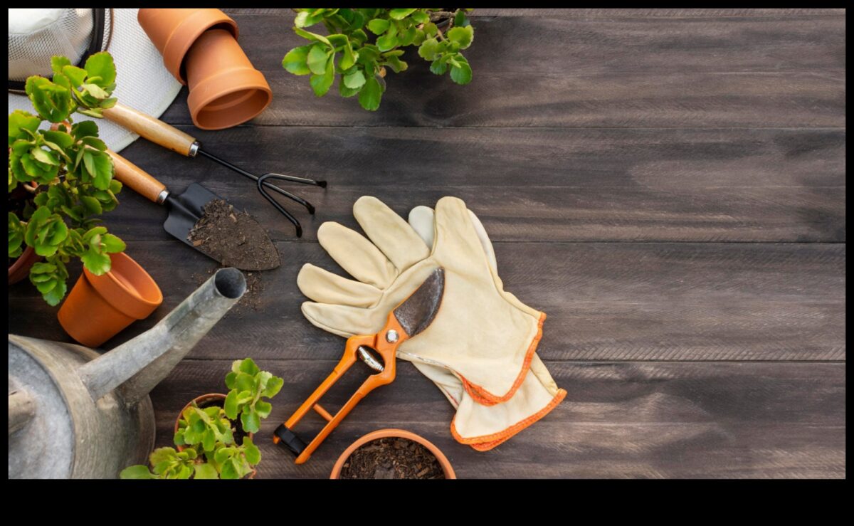 לזרוע הצלחה: כלי גינה חיוניים לכל מגדל