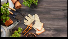 לזרוע מזל טוב 7 מכשיר מדשאה שכל אחד מגדל רוצה ל 1 לזרוע הצלחה: כלי גינה חיוניים לכל מגדל