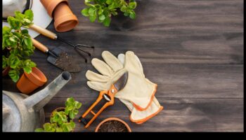 לזרוע הצלחה: כלי גינה חיוניים לכל מגדל