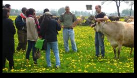 מחלבות הולנדיות הרפתקה נראה לעין אורח החיים הכפריים 5 מחלבות הולנדיות: ייצוגים אמנותיים של החיים הכפריים