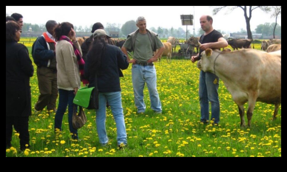 מחלבות הולנדיות מסע חזותי בחיים הכפריים 1 מחלבות הולנדיות: ייצוגים אמנותיים של החיים הכפריים