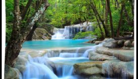 מדוע נהרות ואגמים הם מרכיבים חיוניים של נופי מים?