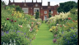 נופים נצחיים מבט על הנוף הנצחי ביותר על הפלנטה הזו 1 שטחים נצחיים: צילום נוף קלאסי