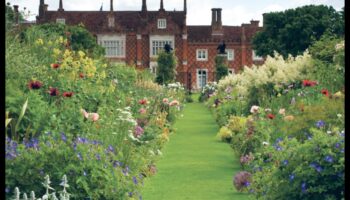 שטחים נצחיים: צילום נוף קלאסי