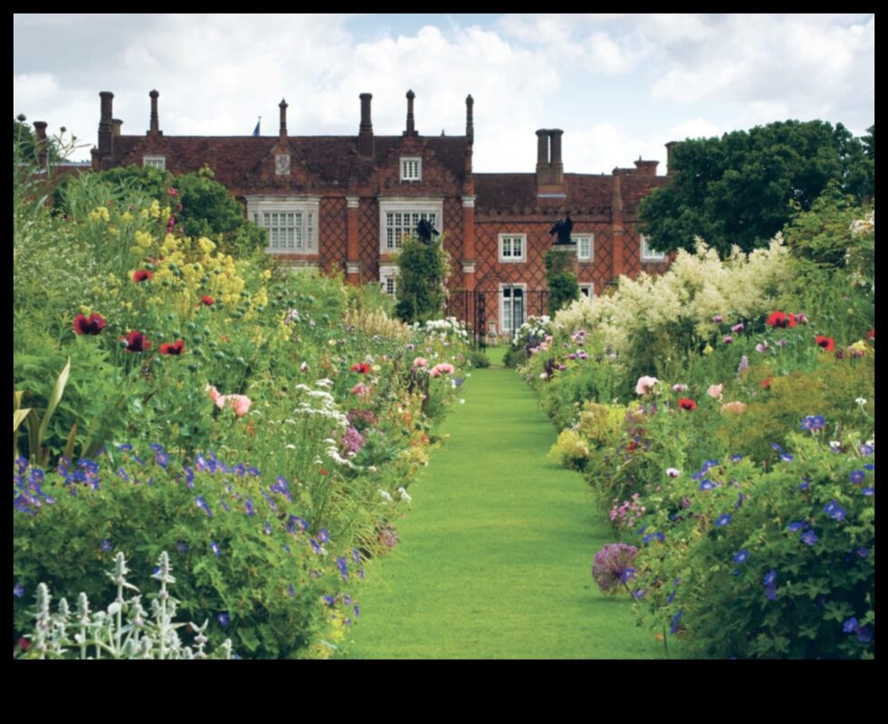 שטחים נצחיים: צילום נוף קלאסי