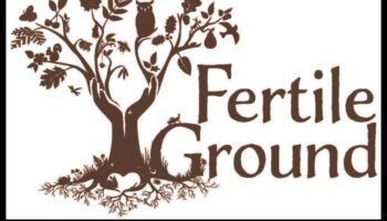 דברי הימים של סדנת הגן: איפה הרעיונות פורחים