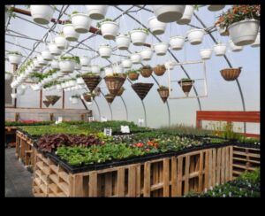 ערבות לוחשות: נסיגת החממה שלך מחכה