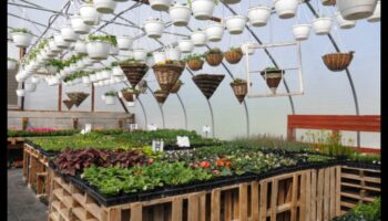 ערבות לוחשות: נסיגת החממה שלך מחכה