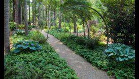 לא אלים בנוף 1 לגלות את עדן: אוסף של נופים שופעים ושלווים בכל פריים