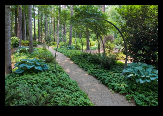 שלווה בנוף 1 לגלות את עדן: אוסף של נופים שופעים ושלווים בכל פריים