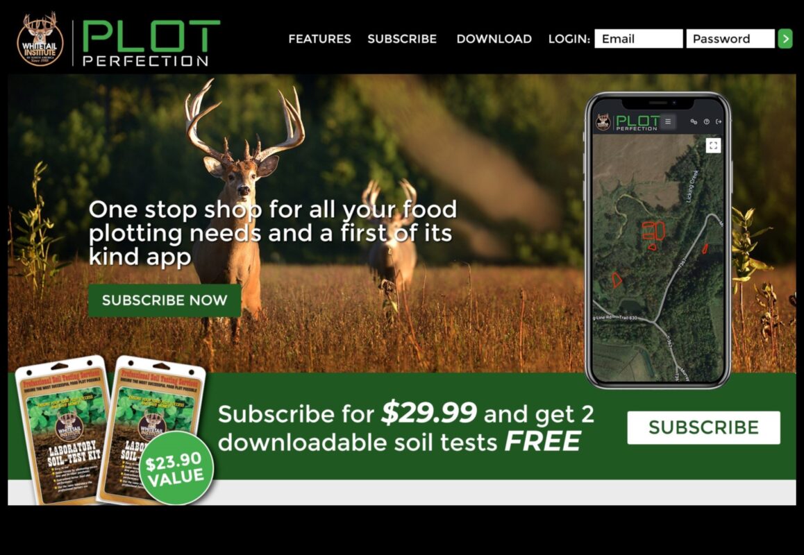 שלמות העלילה: שלבים אסטרטגיים לתכנון גינות מוצלח