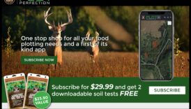 גולת הכותרת העלילה מידע אסטרטגי לתכנון גינות הצלחה 5 שלמות העלילה: שלבים אסטרטגיים לתכנון גינות מוצלח