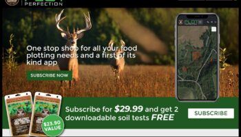 שלמות העלילה: שלבים אסטרטגיים לתכנון גינות מוצלח